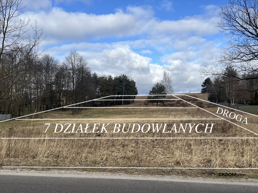 Na sprzedaż działka 1 ha w Rytwianach z podziałem na 7 działek Rytwiany, Klasztorna  1m2 Foto 1