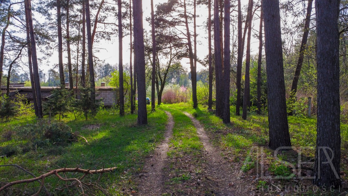 Dom na sprzedaż Rogów  120m2 Foto 12