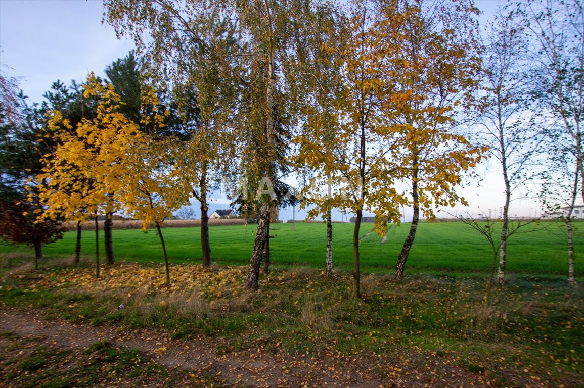 Lokal użytkowy na sprzedaż Bielsk  7 100m2 Foto 43