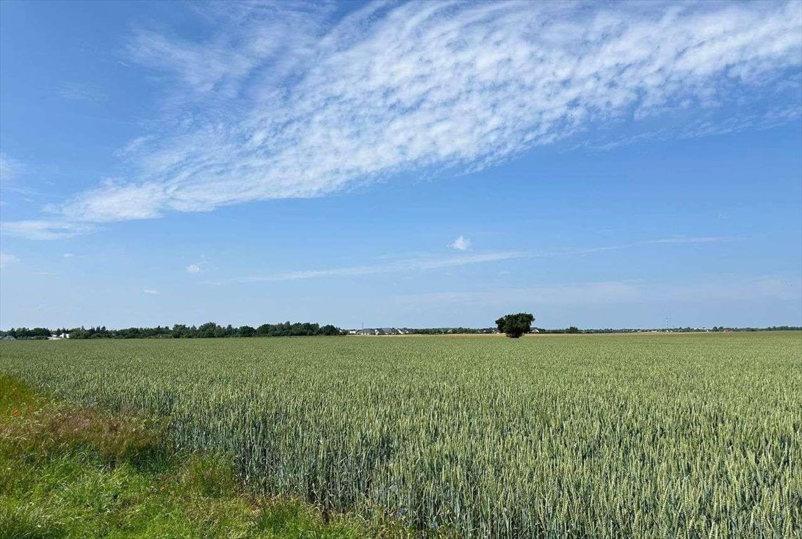 Działka budowlana na sprzedaż Gortatowo, ul. Bajkowa  755m2 Foto 2