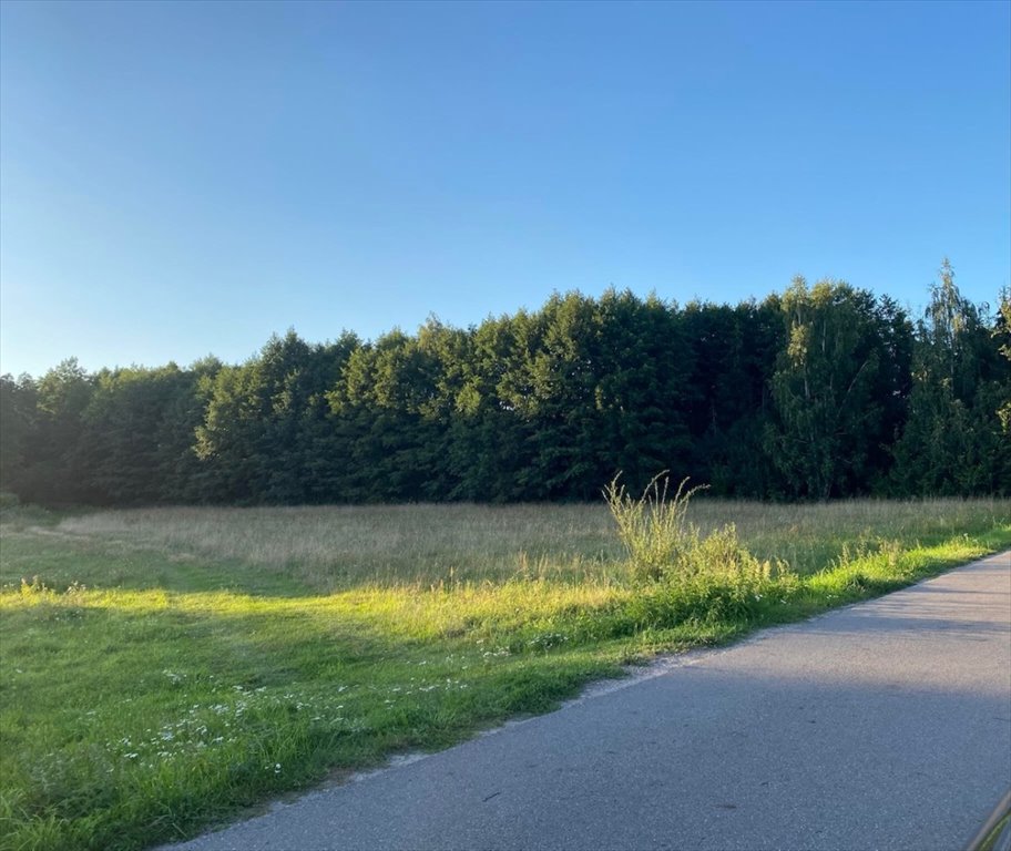 Działka rolna na sprzedaż Nasielsk, Nasielsk, Mazewo Dworskie B  30 000m2 Foto 1