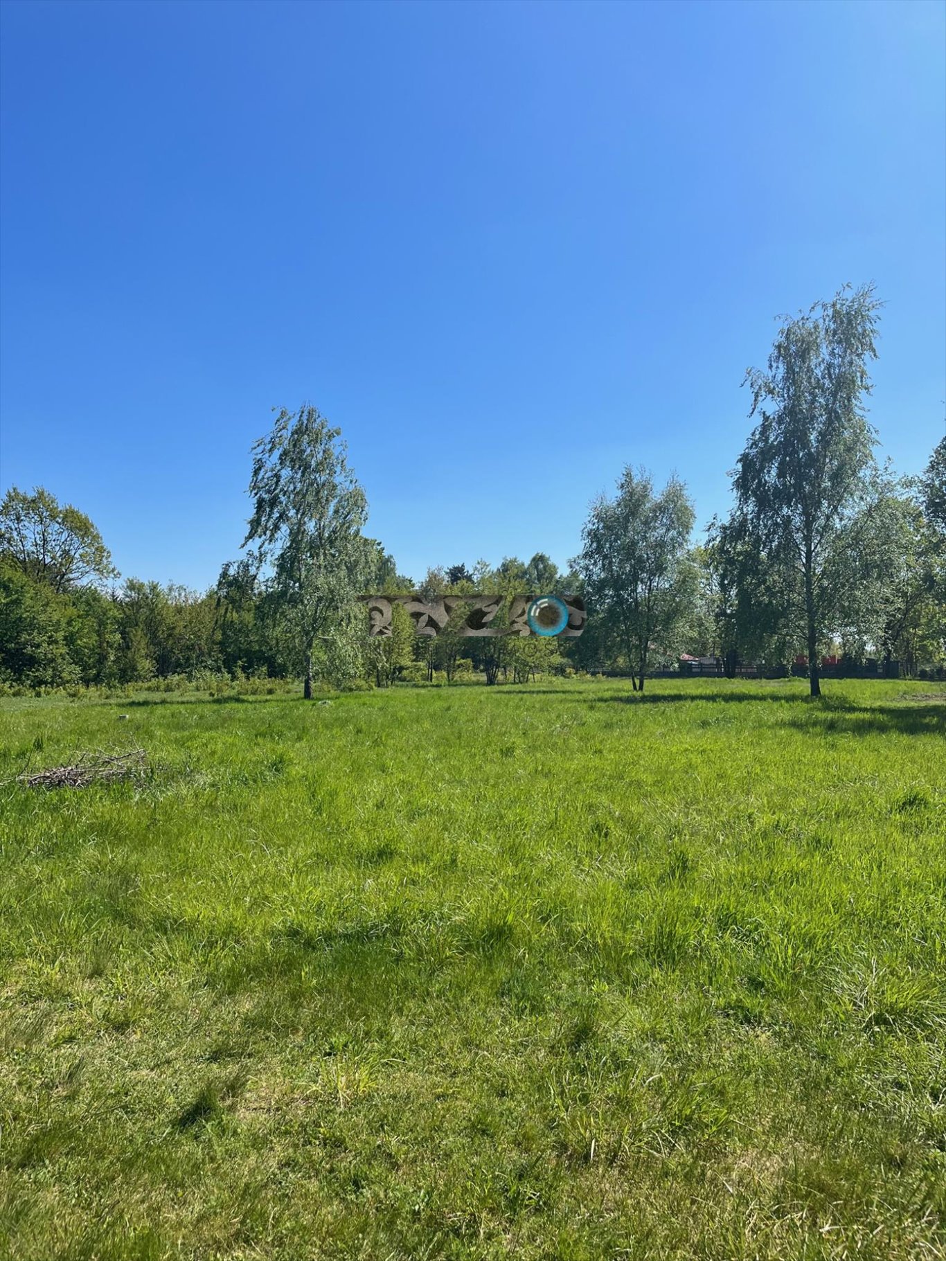 Działka budowlana na sprzedaż Józefów, Podchorążych  4 100m2 Foto 5