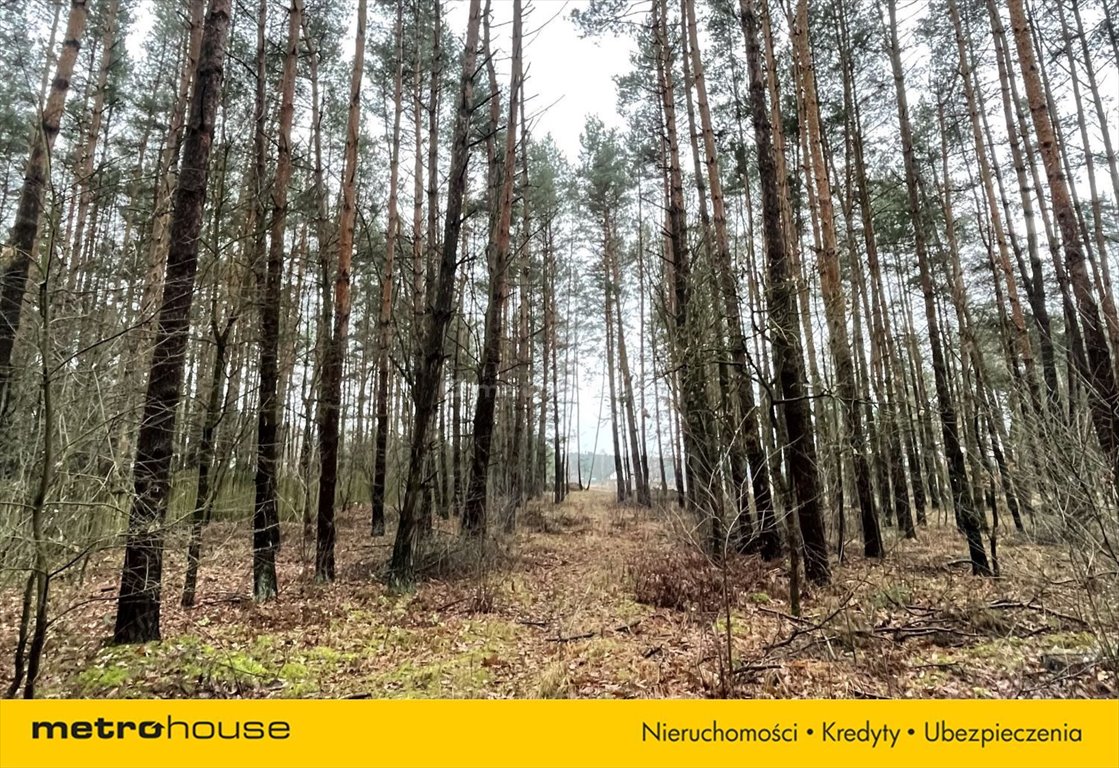 Działka budowlana na sprzedaż Kamieńczyk  2 700m2 Foto 5