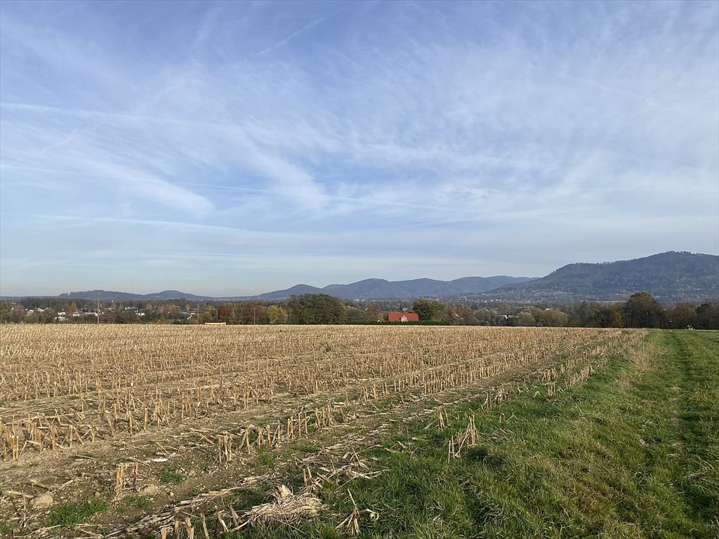 Działka rolna na sprzedaż Kozakowice Dolne, Kozakowice Dolne, Biała  6 400m2 Foto 6