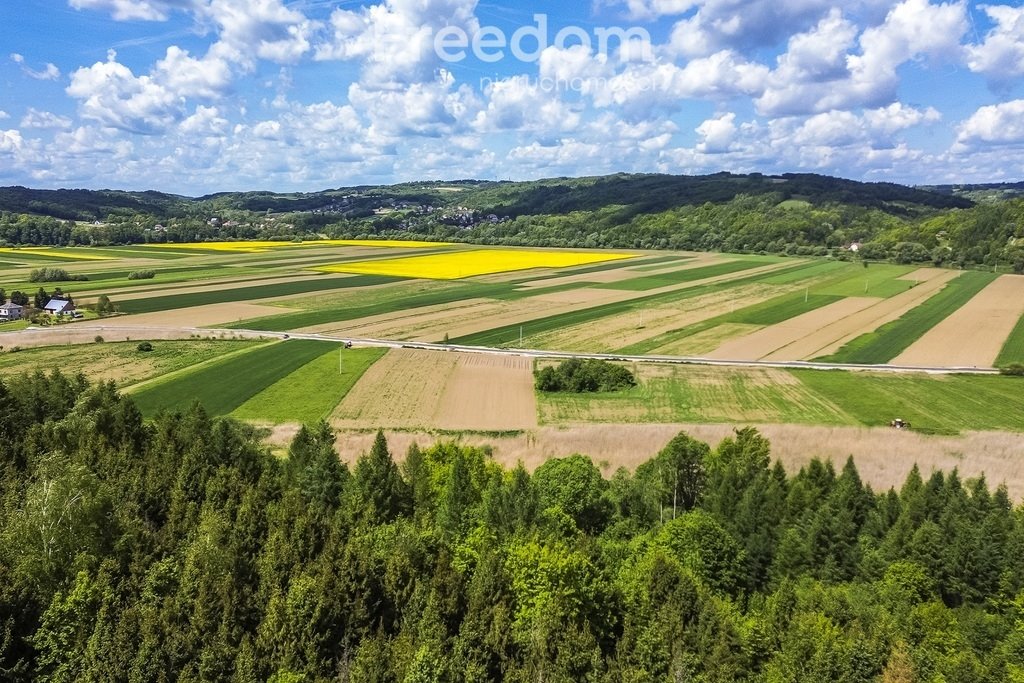 Działka budowlana na sprzedaż Bachów  7 900m2 Foto 1