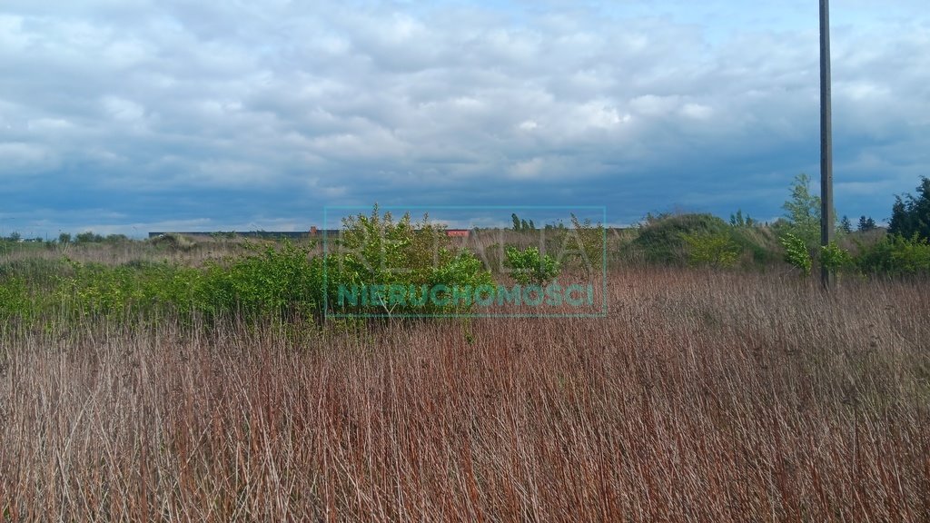 Działka komercyjna na sprzedaż Janki  2 400m2 Foto 7