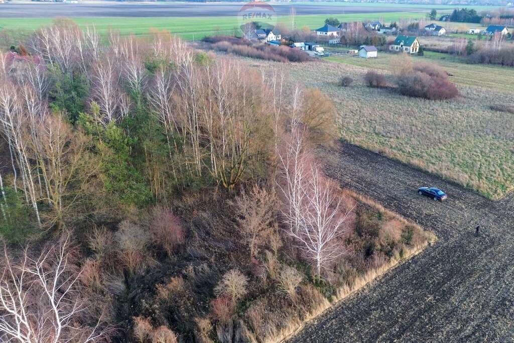 Działka rolna na sprzedaż Jaktorów, Pomorska  924m2 Foto 8