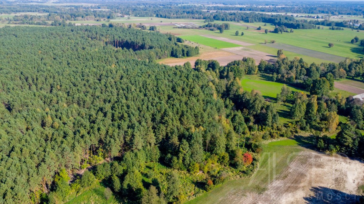 Działka leśna na sprzedaż Michałowo  36 000m2 Foto 10