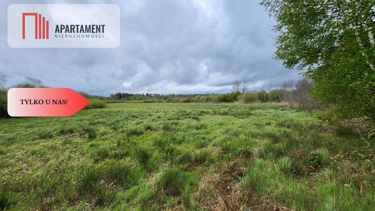 Do sprzedania urokliwe działki rolne nad rzeką w Staniewicach Staniewice  13 300m2 Foto 1