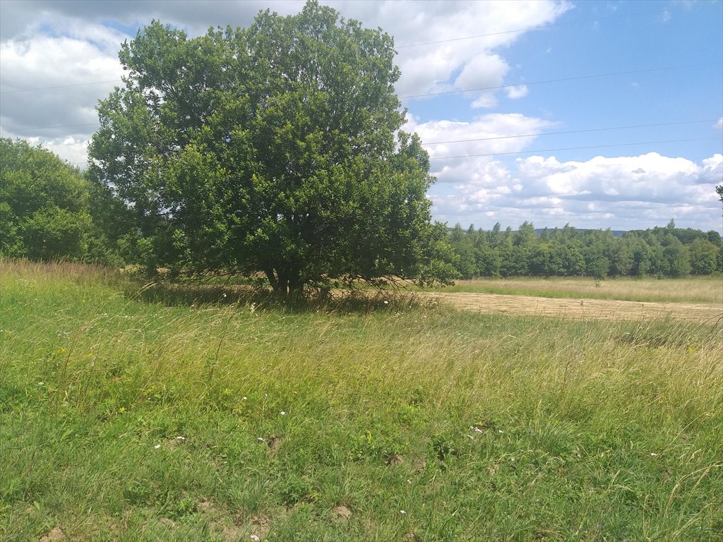 Działka rolna na sprzedaż Makowiska  9 700m2 Foto 3