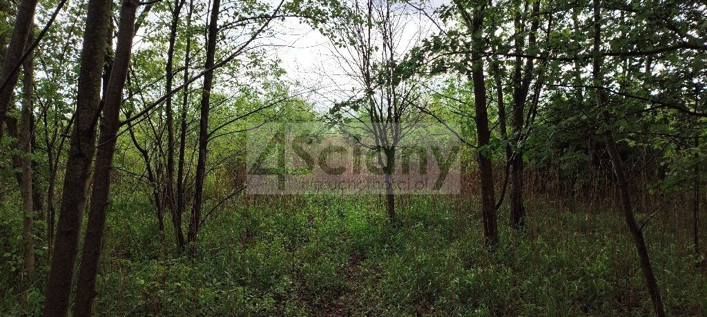 Zapraszam do zakupu działki 1274 m² pod dom z mediami Stanisławów Drugi  1 274m2 Foto 1
