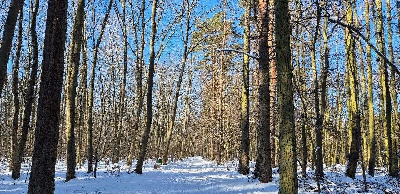 Dom na sprzedaż Poznań, Jeżyce, Smochowice, Łebska 22  148m2 Foto 14