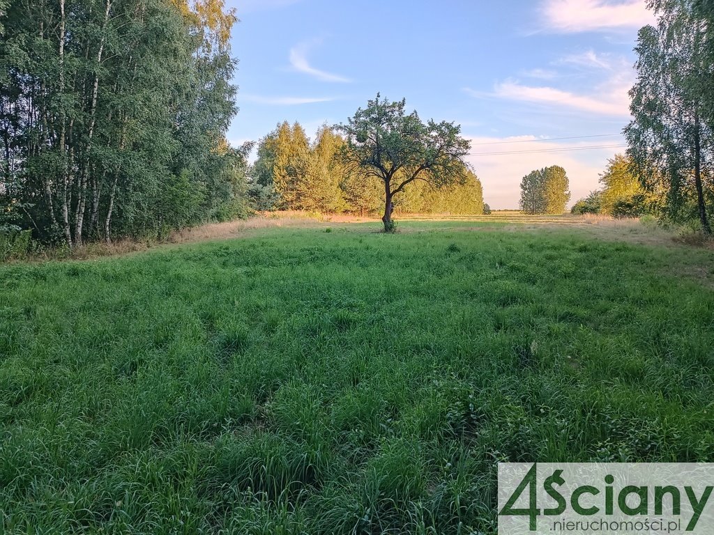 Działka budowlana na sprzedaż Biernik  16 000m2 Foto 1