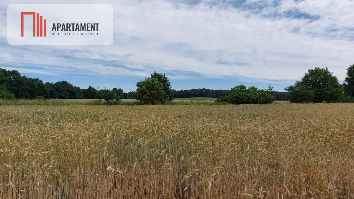 Działka budowlana na sprzedaż Śmiłowo  1 000m2 Foto 5