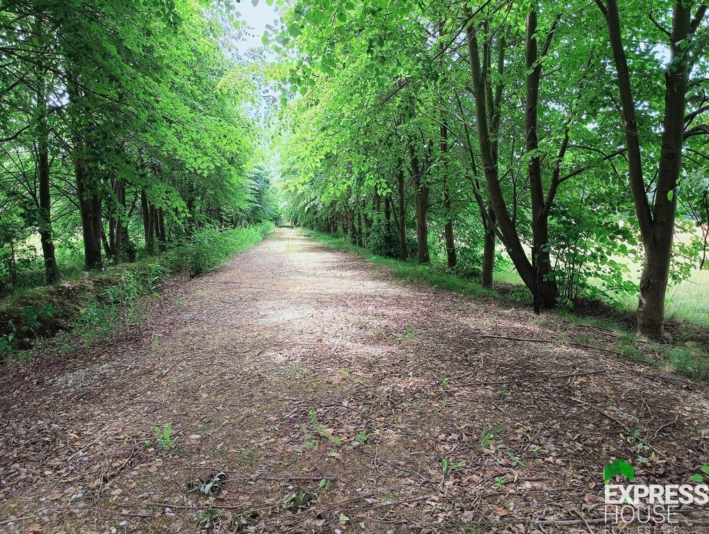 Działka budowlana na sprzedaż Celinów, Polnych Kwiatów  5 148m2 Foto 2