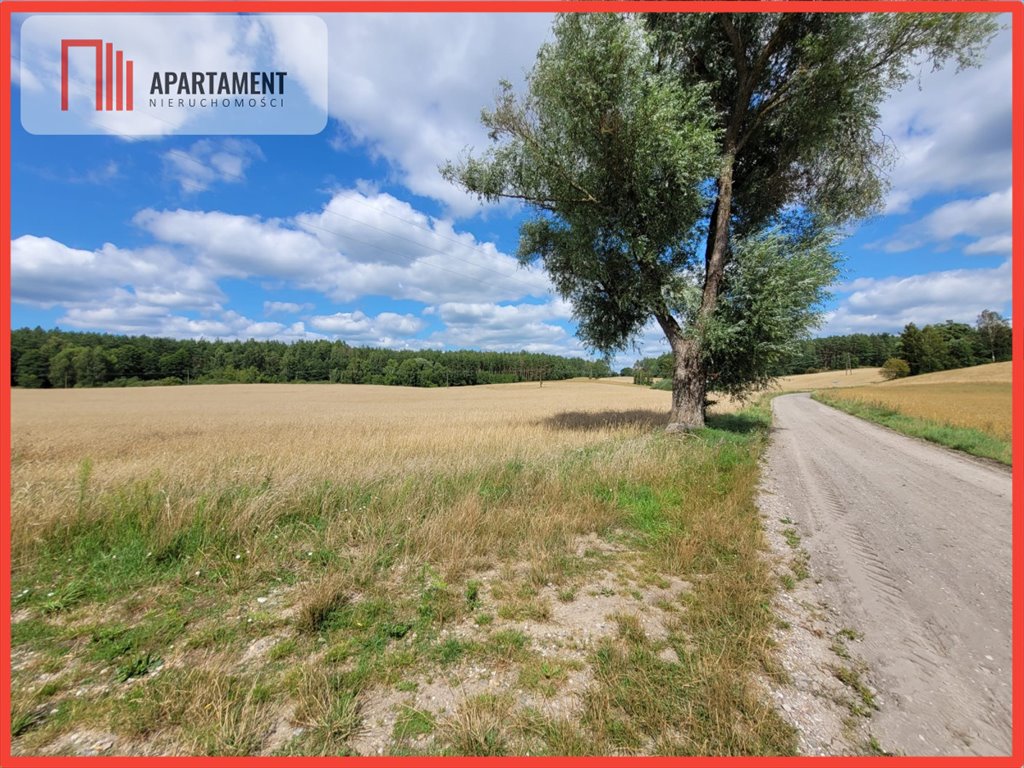 Działka gospodarstwo rolne na sprzedaż Skorzewo  6 000m2 Foto 8