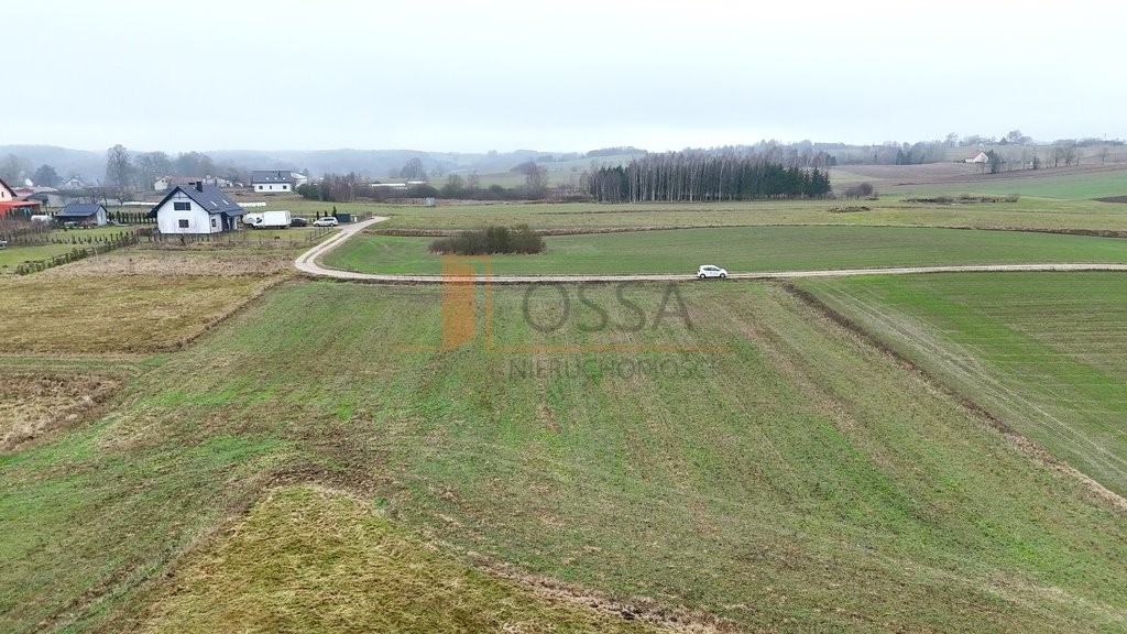 Działka budowlana na sprzedaż Skrzydłowo  3 500m2 Foto 3