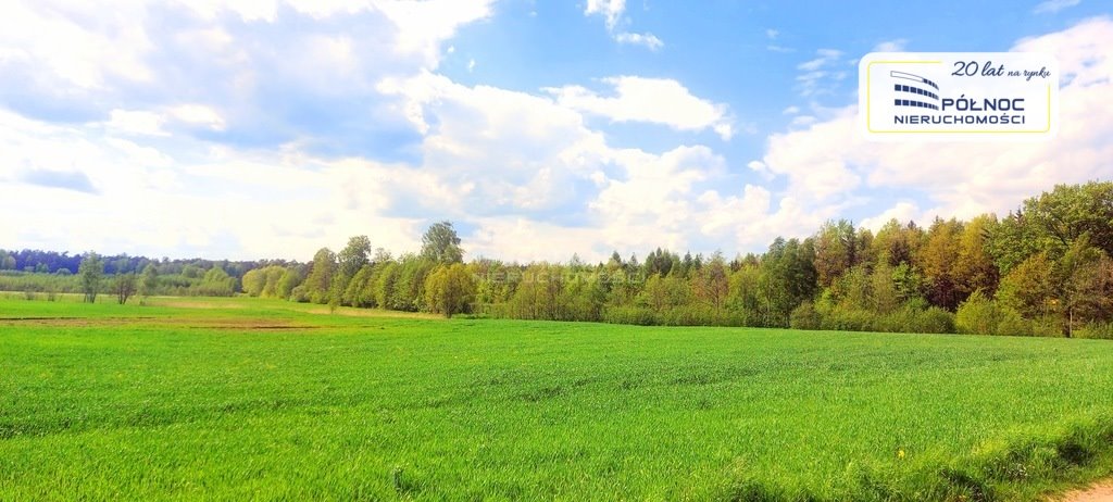 Działka rolna na sprzedaż Targowo  3 224m2 Foto 6