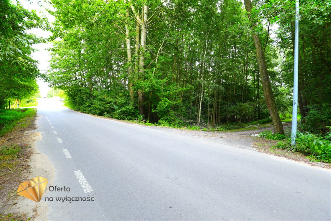 Działka rolna na sprzedaż Motycz  1 300m2 Foto 4