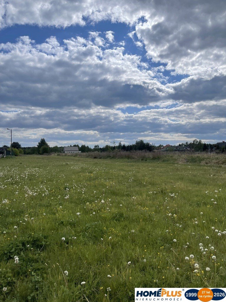 Zdjęcie 8