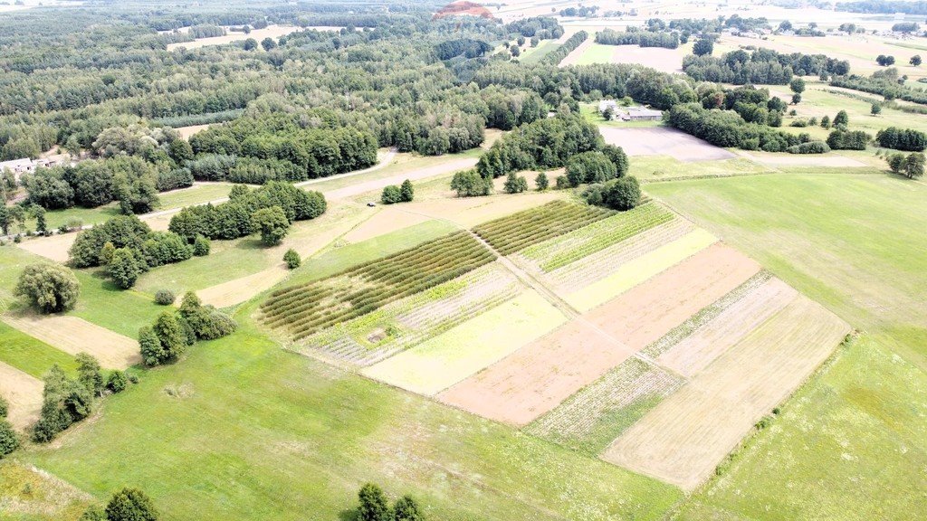 Działka rolna na sprzedaż Ostrownica  18 000m2 Foto 2