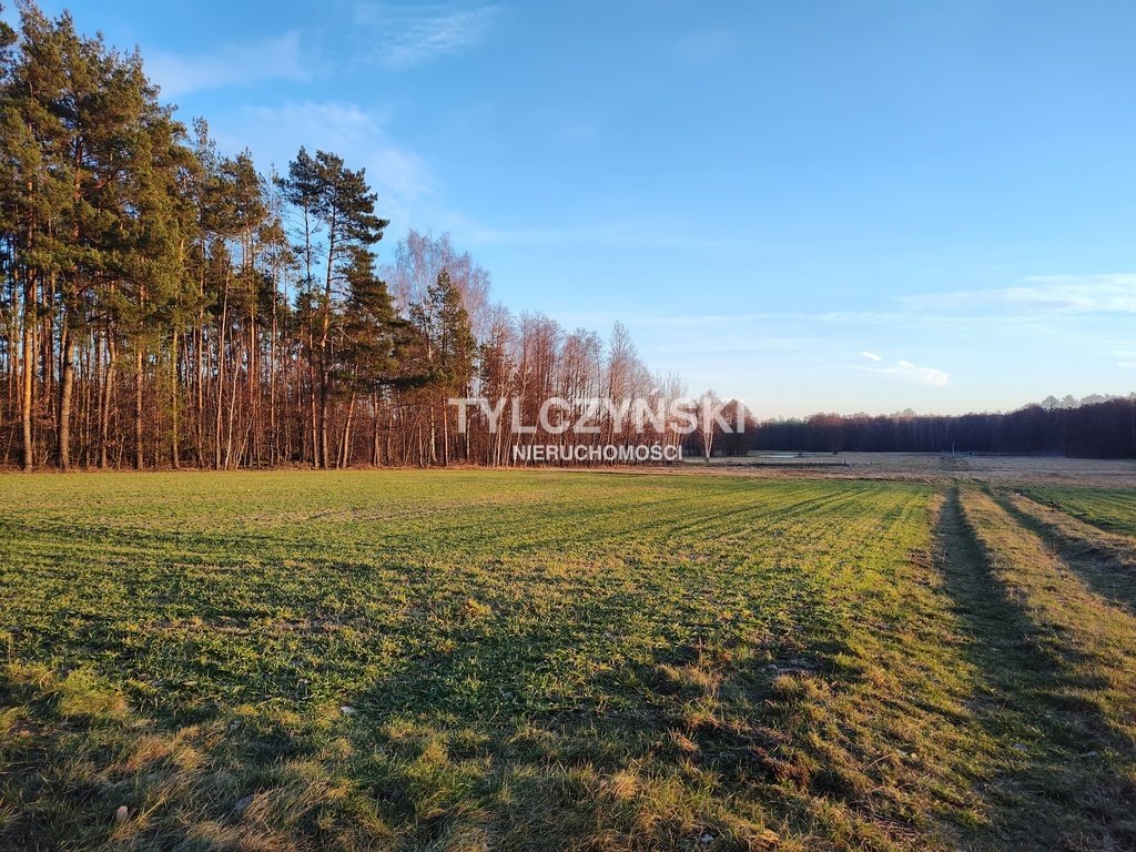 Działka rolna na sprzedaż Kaleń  40 000m2 Foto 2