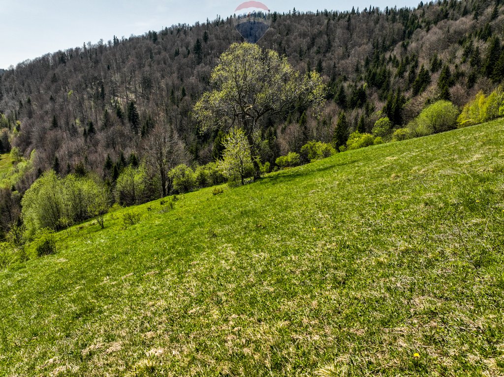 Działka inna na sprzedaż Ochotnica Górna  3 076m2 Foto 4