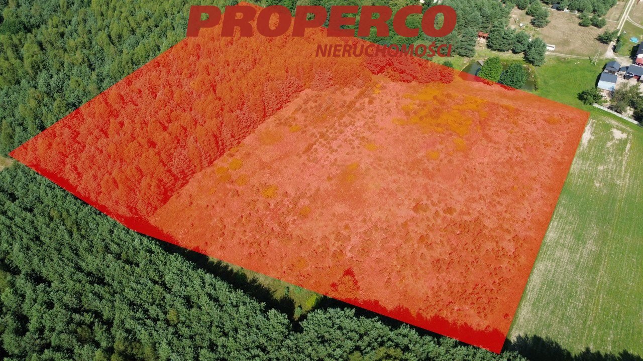 Działka inna na sprzedaż Bogoria-Kolonia  36 661m2 Foto 1