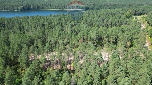Działki nad jeziorem z projektem domu i mediami Skorzewo  505m2 Foto 1