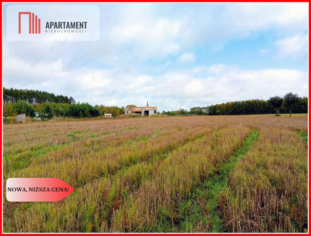 Działka budowlana na sprzedaż Branica  5 600m2 Foto 3