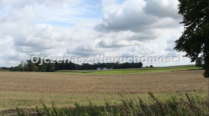 Działka budowlana na sprzedaż Zielonczyn  1 164m2 Foto 1