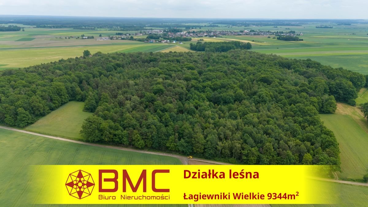 Działka leśna na sprzedaż Łagiewniki Wielkie  9 344m2 Foto 1