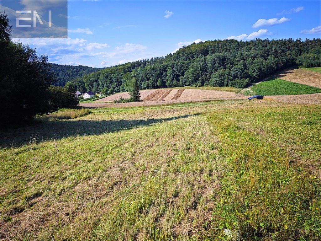 Działka budowlana na sprzedaż Krasna  5 300m2 Foto 4