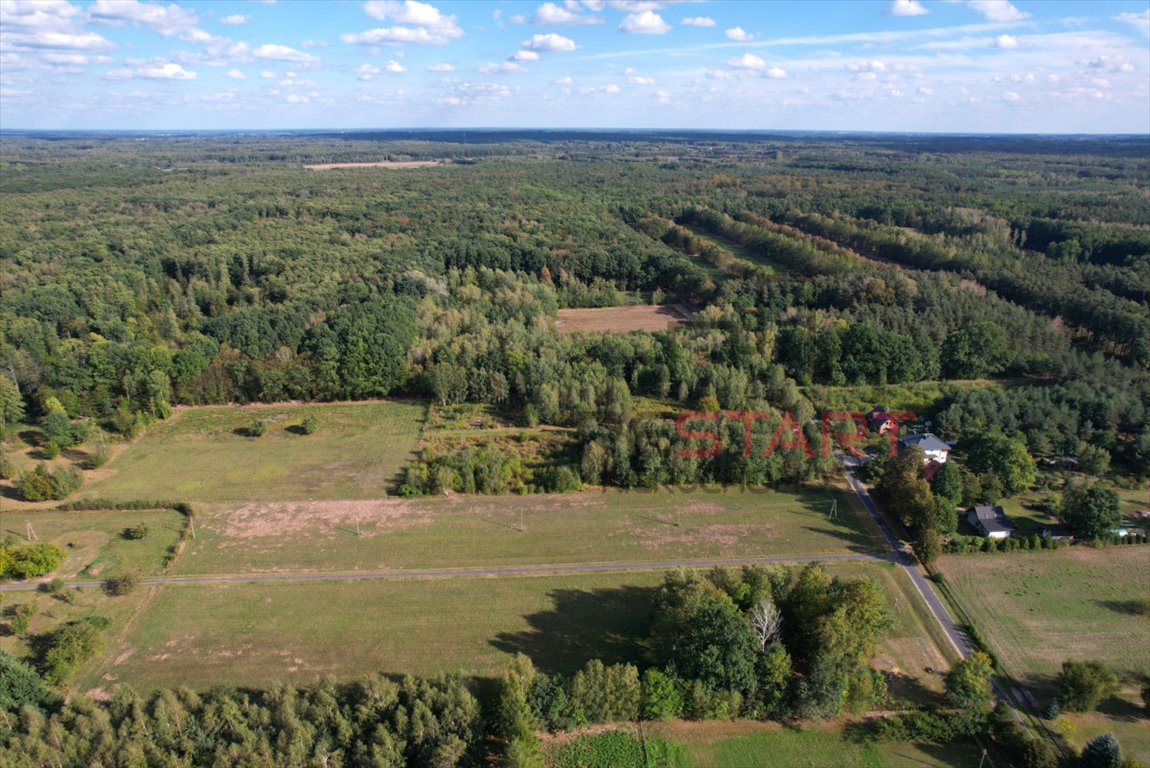 Działka budowlana na sprzedaż Bartoszówka, Borówkowa  1 481m2 Foto 4