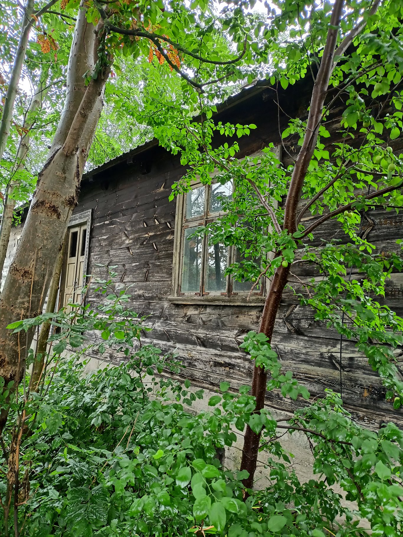 Dom na sprzedaż Olszewo gm.Bocki  70m2 Foto 2