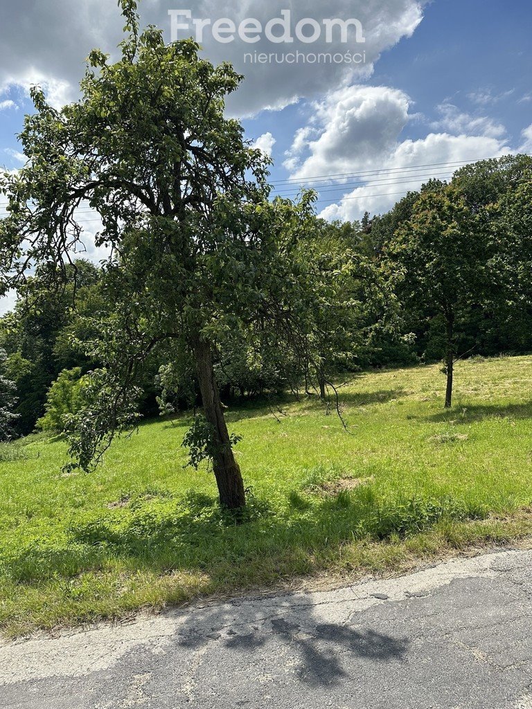 Działka budowlana na sprzedaż Raciborsko  5 584m2 Foto 6