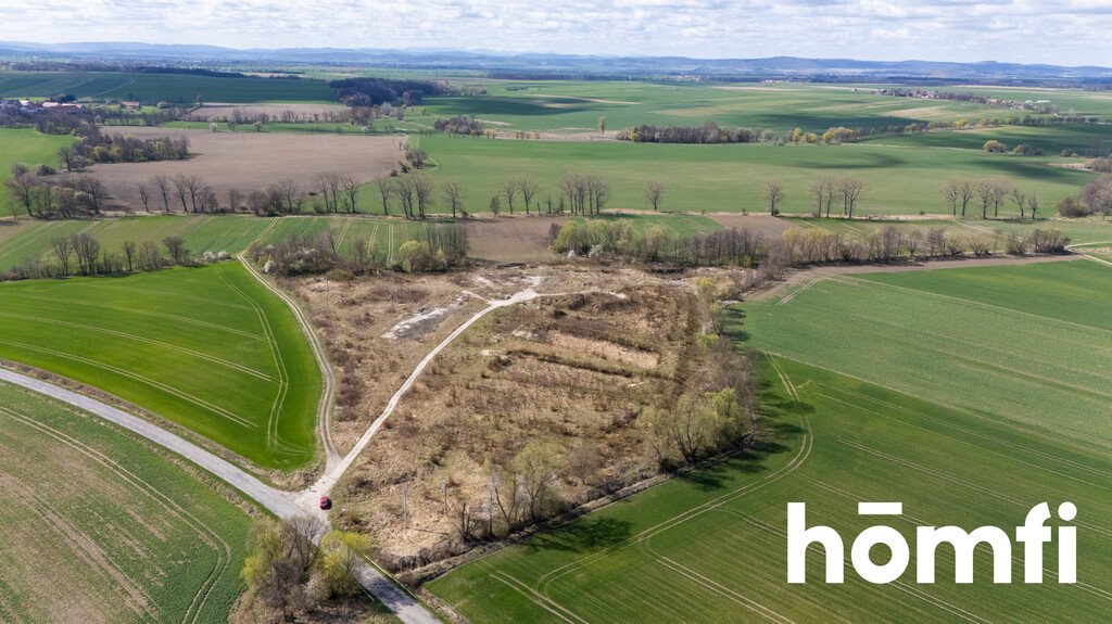 Przemysłowa działka 4,3 ha z energią i farmą PV Mikołajowice  43 377m2 Foto 1