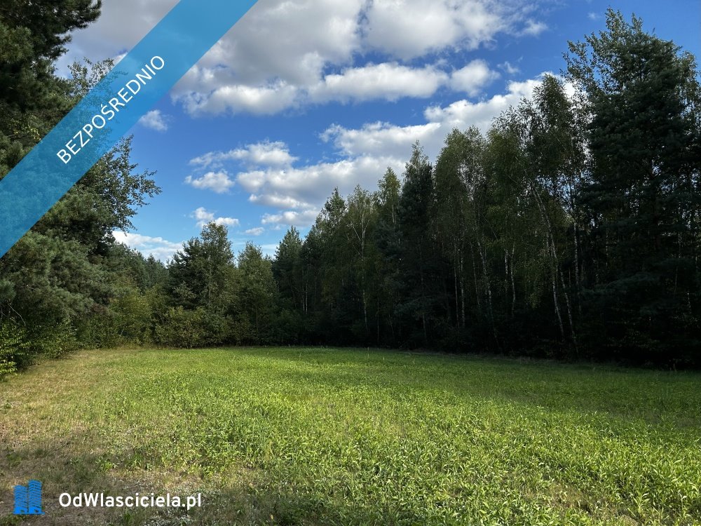 Malownicza działka 1,32 ha z WZ, idealna pod rekreację Rydzów  1 320m2 Foto 1