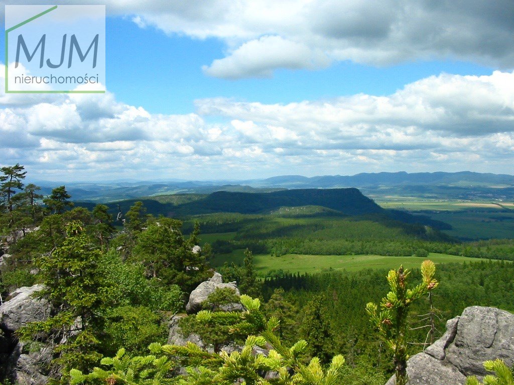 Działka budowlana na sprzedaż Kudowa-Zdrój, Zakrze  2 891m2 Foto 5