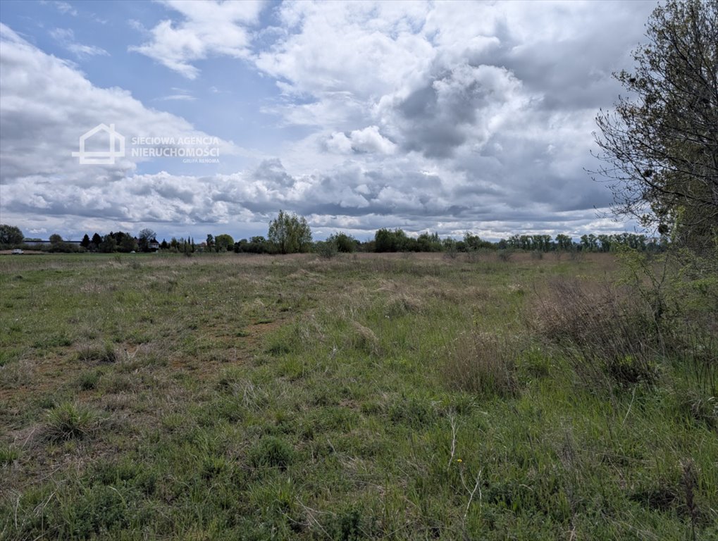 Działka 10 000 m² z dostępem do mediów - polecam Przejazdowo  10 000m2 Foto 1