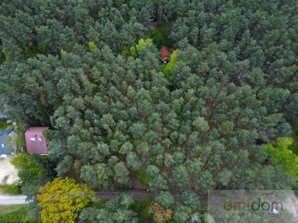 Działka leśna na sprzedaż Siestrzeń  3 000m2 Foto 4