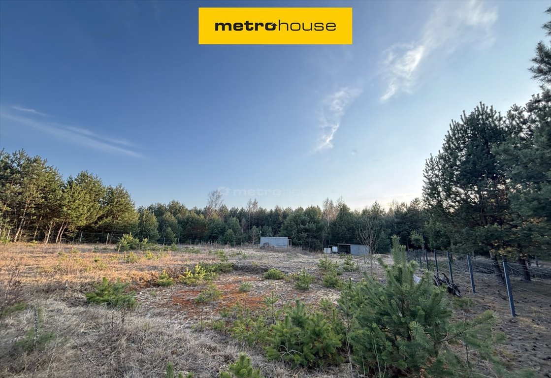 Działka 5220 m² z mediami i prywatnością - idealna pod dom Pradła, Wyzwolenia  5 220m2 Foto 1