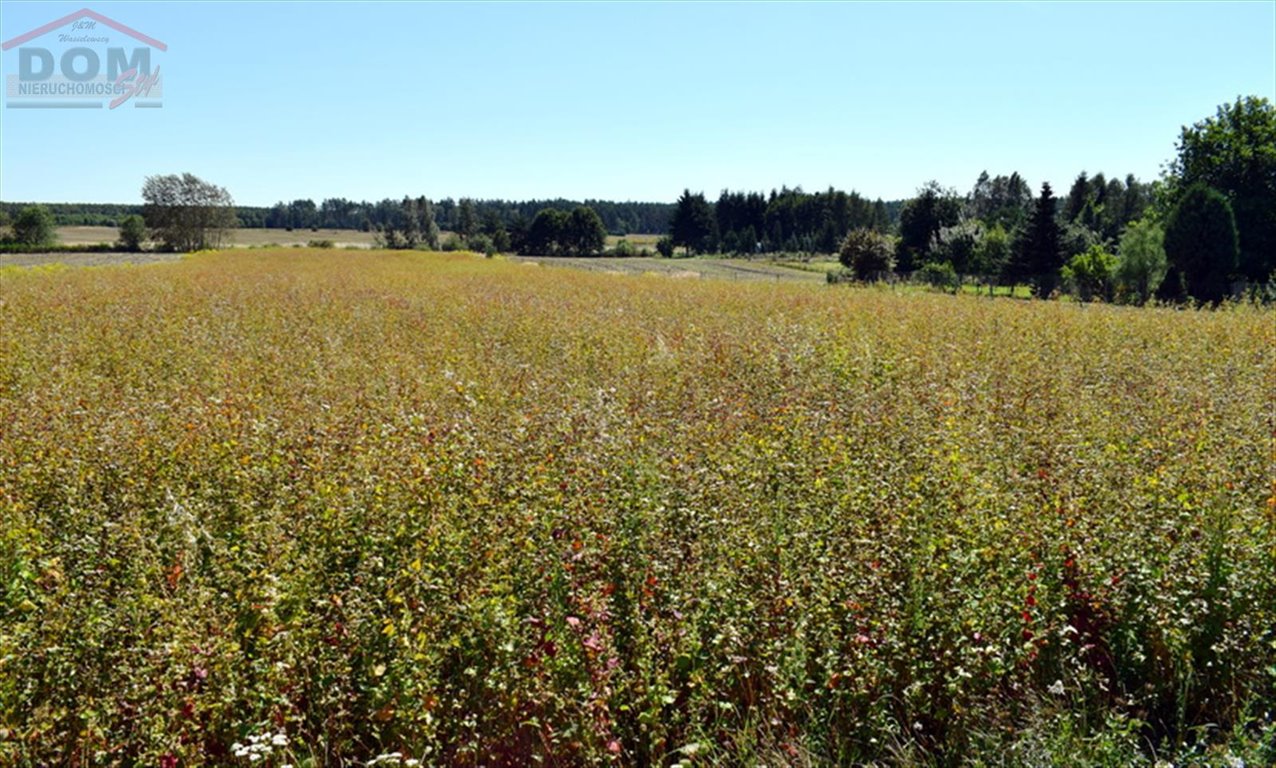 Działka inna na sprzedaż Wierzchowo, Długa  6 996m2 Foto 11