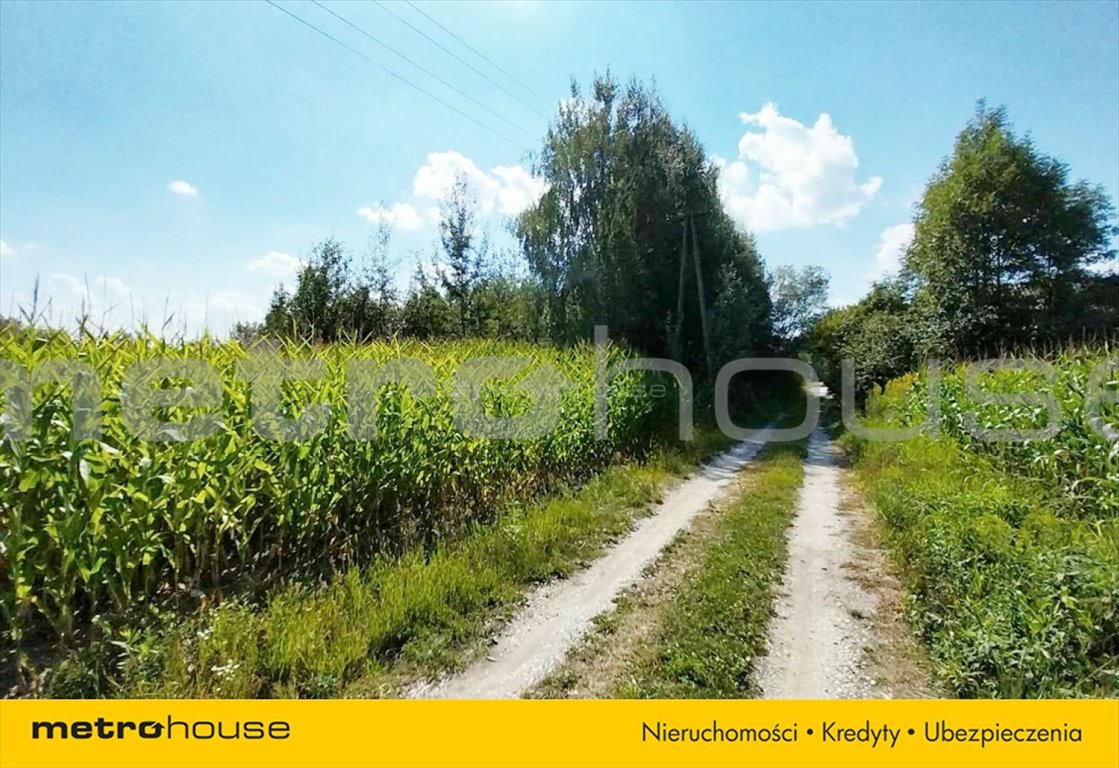 Działka inna na sprzedaż Chotel Czerwony  3 900m2 Foto 10