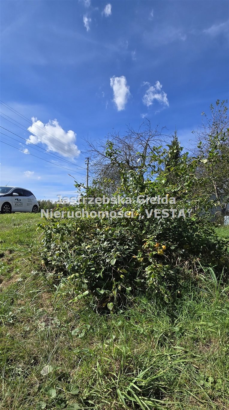 Działka budowlana na sprzedaż Połomia, Centralna  2 000m2 Foto 2