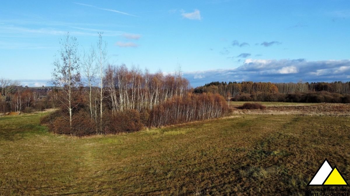 Działka budowlana na sprzedaż Wolimierz  6 000m2 Foto 15