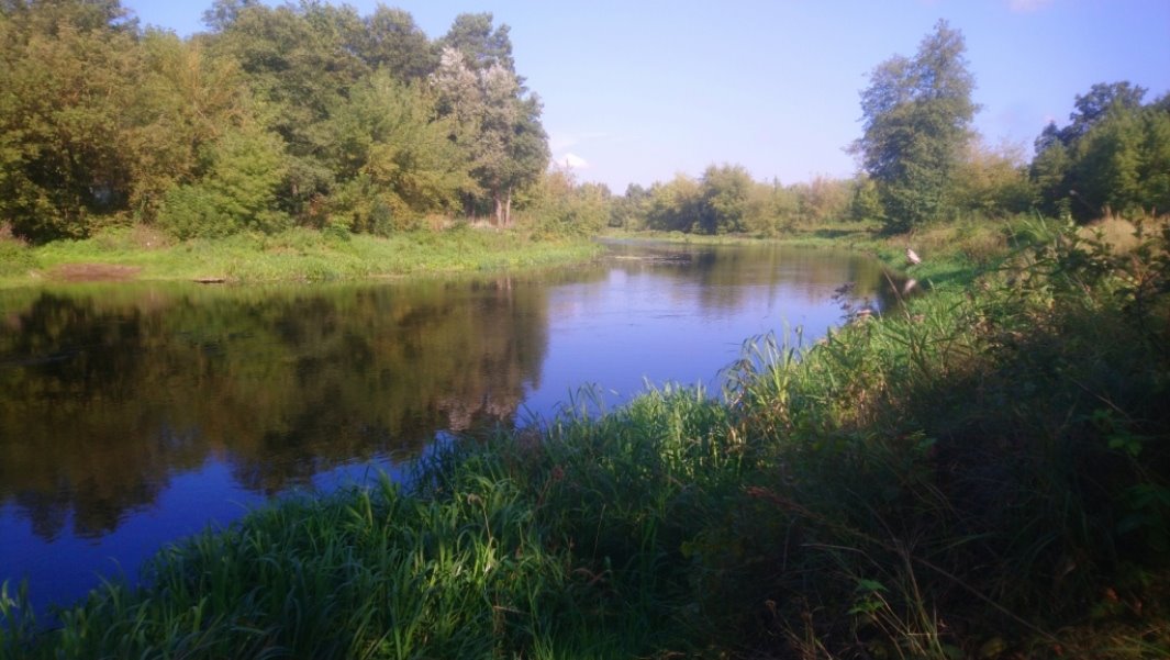 Działka budowlana na sprzedaż Popielżyn-Zawady  1 093m2 Foto 1