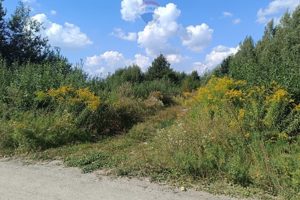 Działka rolna na sprzedaż Skaryszew, Zielona  9 678m2 Foto 1