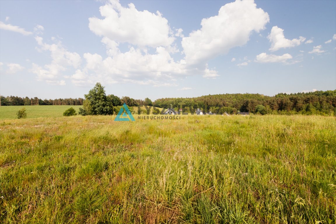 Działka budowlana na sprzedaż Przetoczyno, Malinowa  1 110m2 Foto 9