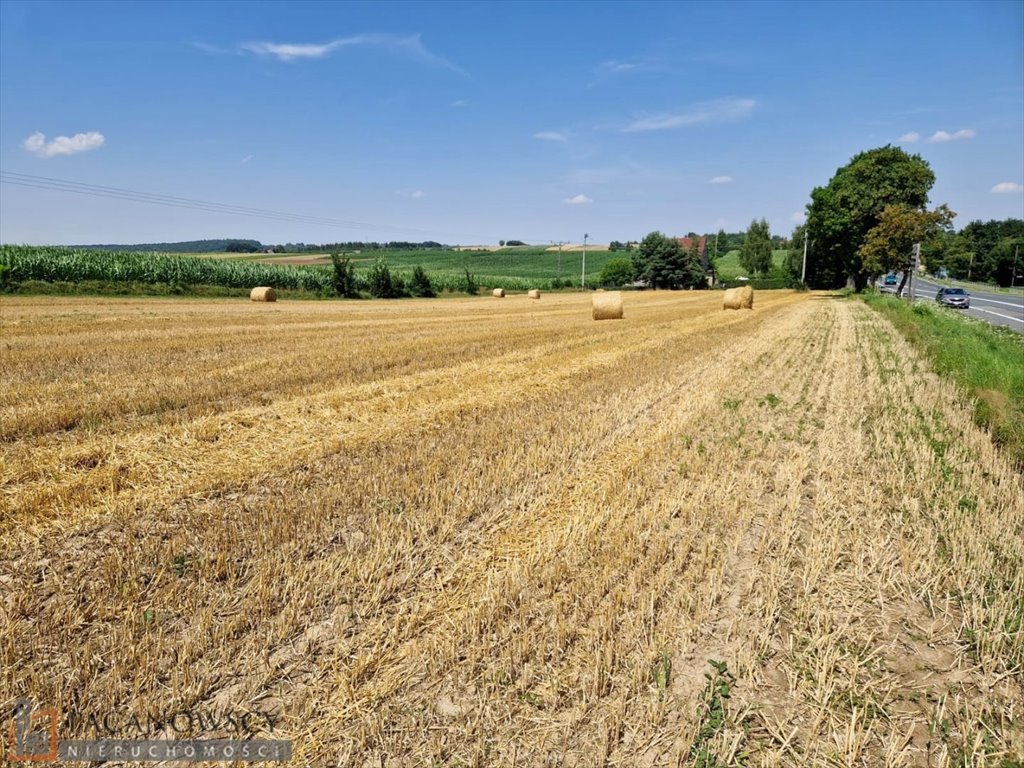 Działka budowlana na sprzedaż Wilczkowice  9 121m2 Foto 1